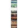 Sandcastle Bali Pop aka Jelly Roll or Rainbow