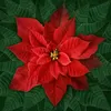 Red Poinsettia Dream Big Holiday Hoffman Quilt Panel 43 x 43 Inches Digital Print