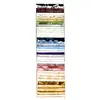 Stepping Stones Rainbow aka Jelly Roll or Bali Pop