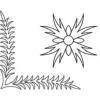 Bloom 'n Fern #30579