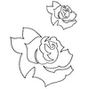 Rose 30431