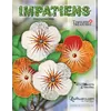 Impatiens Placemat Pattern Judy Niemeyer