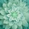 Spruce Dream Big Hoffman Quilt Panel 43 x 43 Inches Digital Print