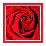 Red - Sewing Buddies Australia