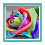 Multi Colour - Sewing Buddies Australia