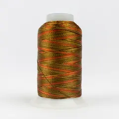 Multicolour 11 Accent by Wonderfil
