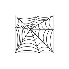 Spider Web #30528