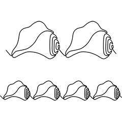 Sea Shell Border 40044