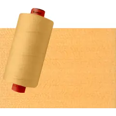 Pale Pumpkin Orange #2422 Rasant Thread 1000M