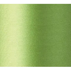 Apple Green #010 Daruma Silk Thread