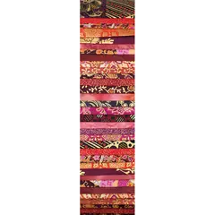 Red Centre Gold Fireworks Rainbow aka Jelly Roll