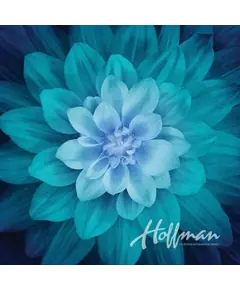 Teal Dream Big Hoffman Quilt Panel 43 x 43 Inches Digital Print