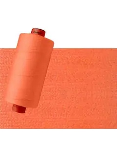 Pumpkin Orange #1333 Rasant Thread 1000M - Image of reel and colour swatch