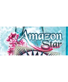 Amazon Star Pattern by Judy Niemeyer - Image of Pattern Banner