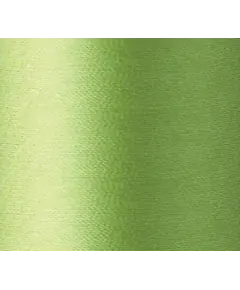 Apple Green #010 Daruma Silk Thread