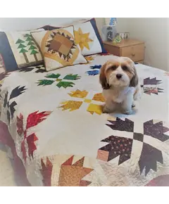 Bear Paw - Classic Pack by Quiltsmart - Printed Interfacing Pattern - SEE VIDEO