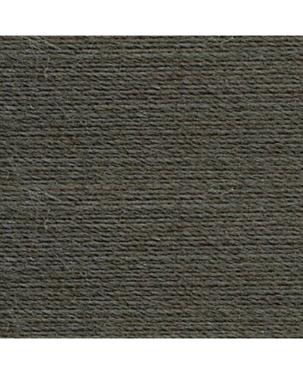 Light Ash Grey #0416 Rasant Thread 1000M - Image of Colour Swatch
