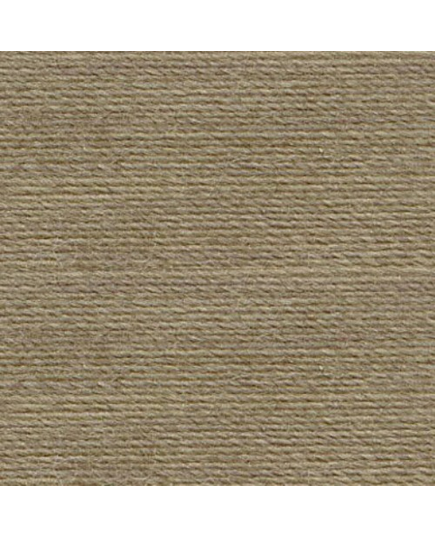 Dark Beaver Grey #0876 Rasant Thread 1000M - Image of Colour Swatch