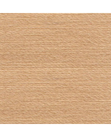 Dark Beige #1483 Rasant Thread 1000M - Image of Colour Swatch