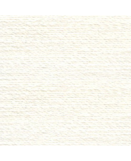 Pearl Grey #1601 Rasant Thread 1000M - Image of Colour Swatch