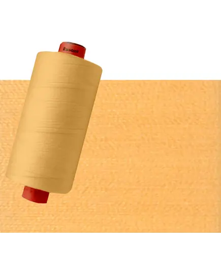 Pale Pumpkin Orange #2422 Rasant Thread 1000M