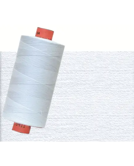 Light Grey #0411 Rasant Thread 1000M