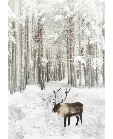 Caribou Call of the Wild Hoffman Quilt Panel 43 x 30 Inches Digital Print