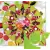 Sunburst 12" Patchwork Template - Meredithe Clark Signature Collection