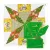 Jackaroo Star Patchwork Template Meredithe Clark