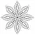 Feather Star, 8 Point #30583