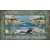 Doggy Paddle Pattern 7 of Dog Park by McKenna Ryan
