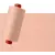 Pale Apricot #1751 Rasant Thread 1000M