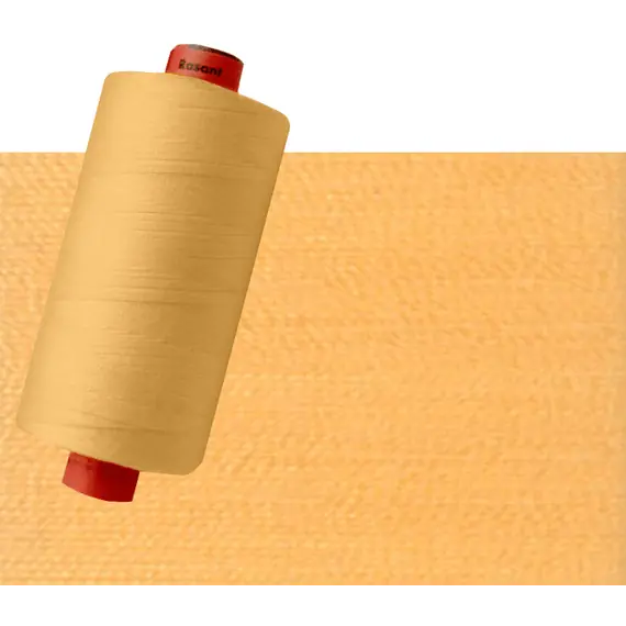 Pale Pumpkin Orange #2422 Rasant Thread 1000M