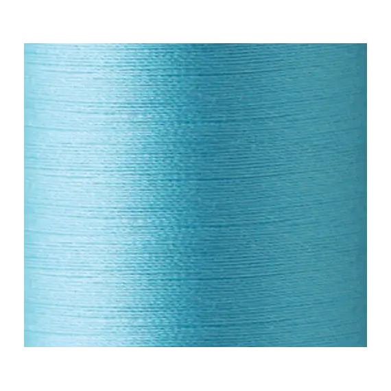 Winter Frost #104 Daruma Silk Thread