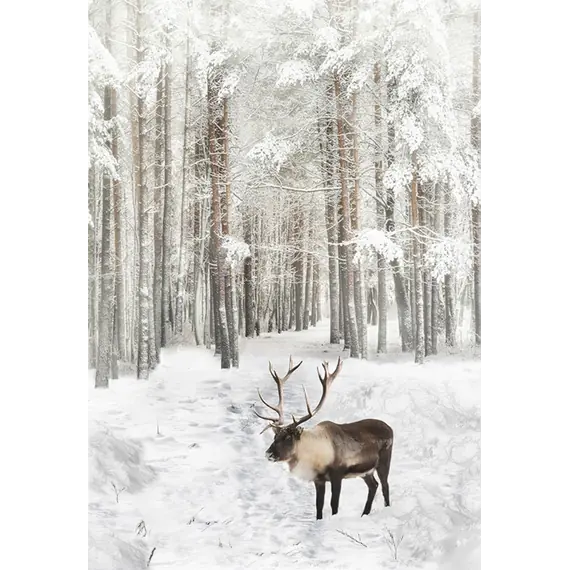 Caribou Call of the Wild Hoffman Quilt Panel 43 x 30 Inches Digital Print