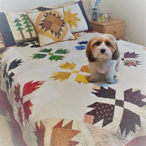 Bear Paw - Classic Pack by Quiltsmart - Printed Interfacing Pattern - SEE VIDEO