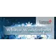 Winter Wonderland Snowflakes Table Runner Pattern Judy Niemeyer