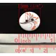 White with Orange Flowers Button D07