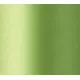 Apple Green #010 Daruma Silk Thread