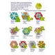 Diamond Hexagon Patchwork Template - Meredithe Clark