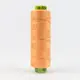 Peach Puff Perle Eleganza 100% Egyptian Cotton Sue Spargo by Wonderfil 3wt 5wt and 8wt